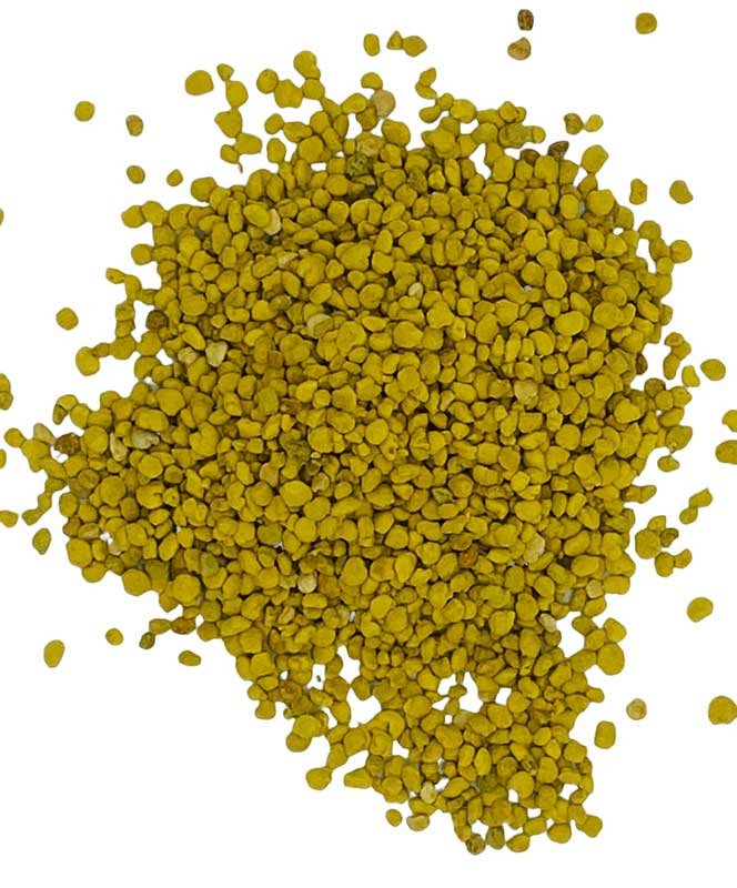 1 Lb Bee Pollen granules (image for) 1 Lb Bee Pollen granules